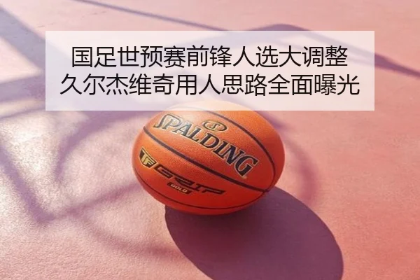 国足世预赛前锋人选大调整 久尔杰维奇用人思路全面曝光