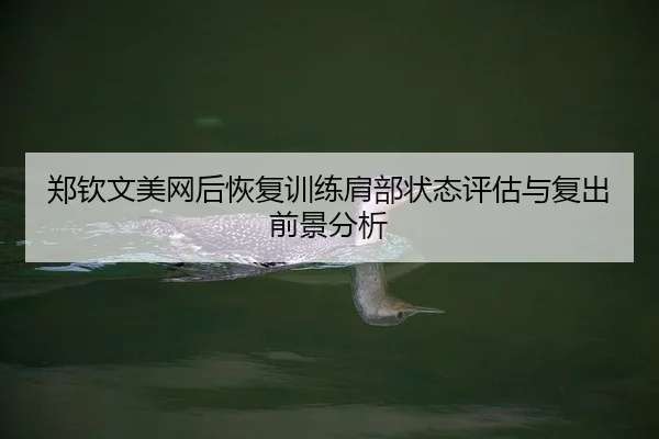 郑钦文美网后恢复训练肩部状态评估与复出前景分析